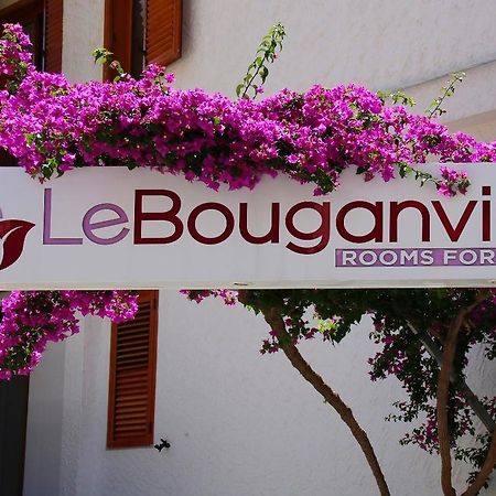 Le Bouganville 비에스테 외부 사진